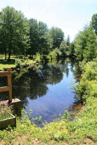 gnf brook panorama sm RI farm view grace note farm