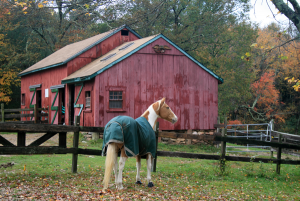 barns-toby-1